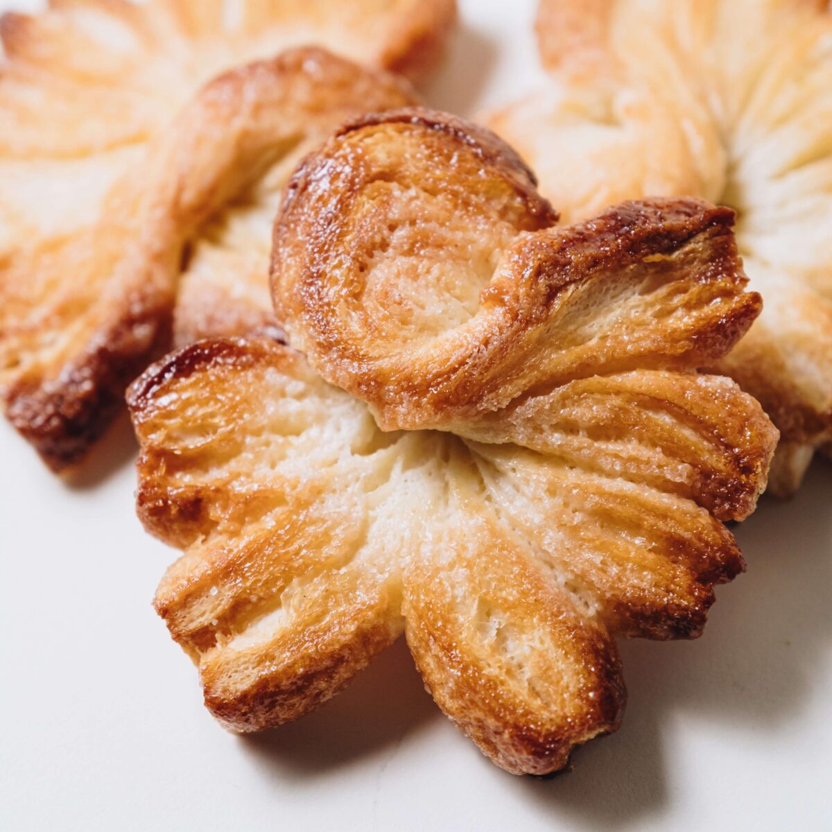 Puff pastry fans